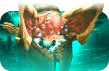 Last Wish Raid